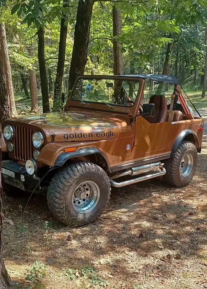 Usata Jeep CJ 1980 SUV