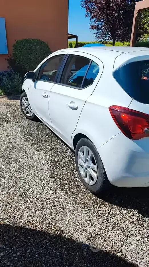 Usata Opel Corsa 69 CV (50 kW) 2015 Bianco Utilitaria
