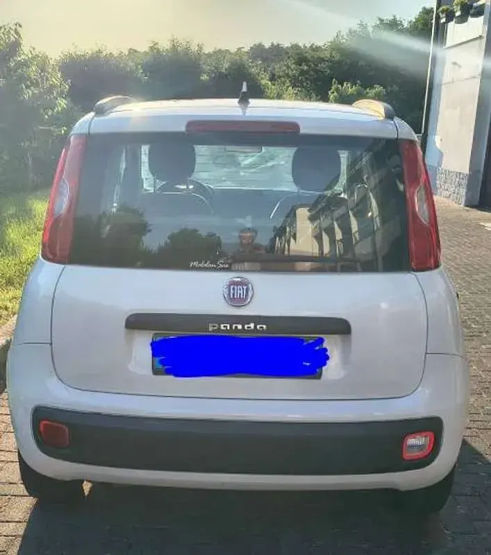 Usata Fiat Panda Easy 69 CV (50 kW) 2013 Bianco Utilitaria