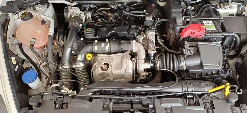 Usata Ford Fiesta Business Edition 86 CV (63 kW) 2020 Bianco Berlina