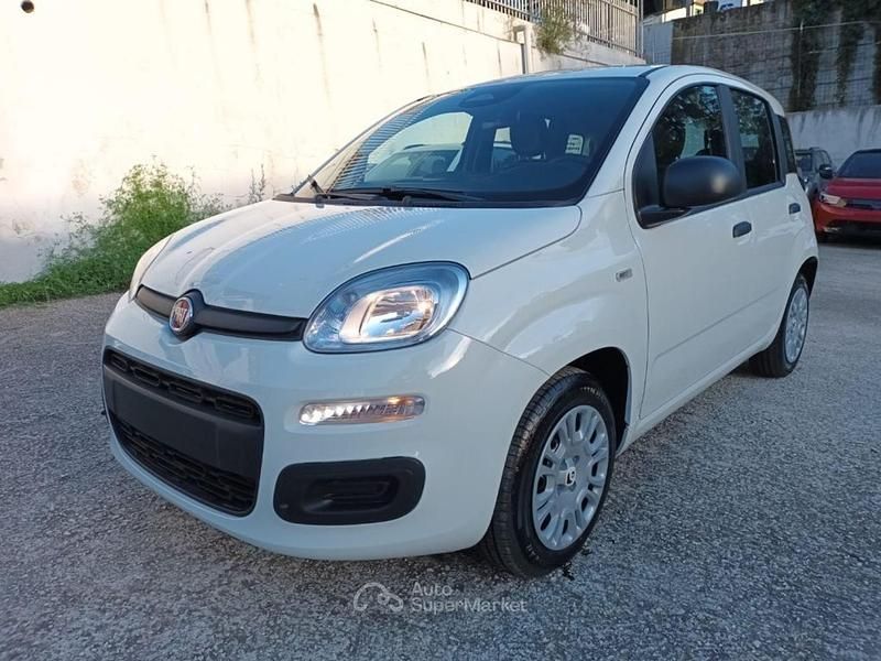Nuova Fiat Panda Icon 70 CV (51 kW) 2025 Bianco Utilitaria