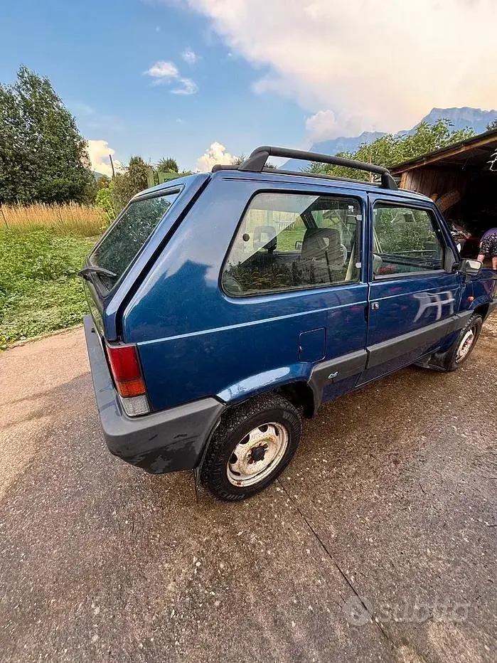 Usata Fiat Panda 4x4 54 CV (39 kW) 2001 Bluazzurro Utilitaria
