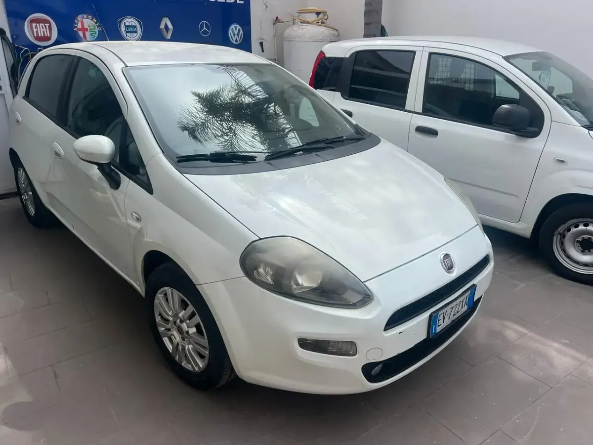 Usata Fiat Punto Lounge 85 CV (62 kW) 2014 Bianco Utilitaria