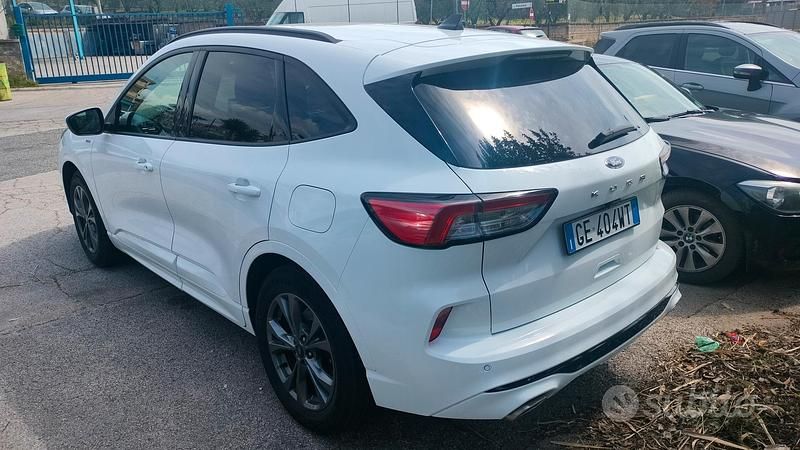 Usado Ford Kuga ST-Line 120 CV (88 kW) 2021 Blanco SUV