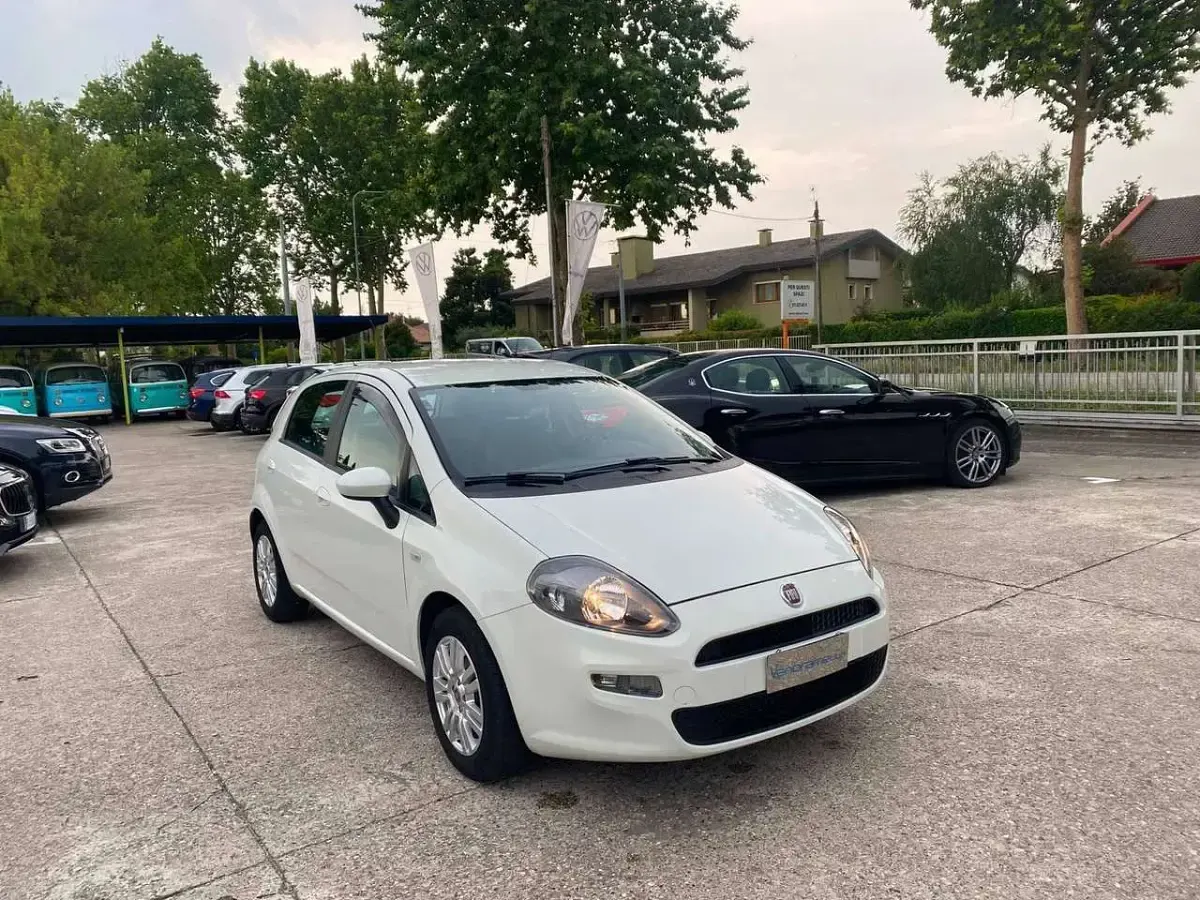 Usata Fiat Punto Lounge 84 CV (61 kW) 2012 Bianco Utilitaria