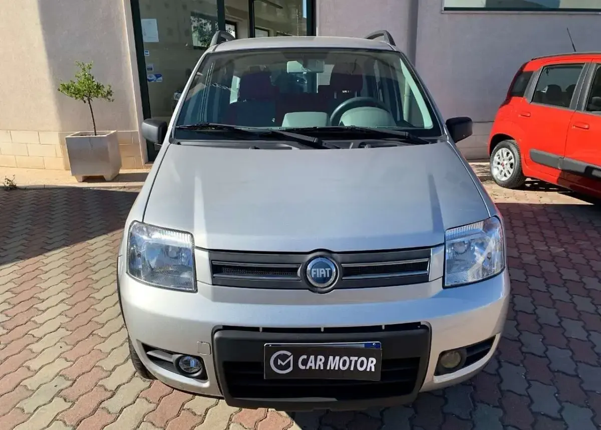 Usata Fiat Panda 4x4 Climbing 69 CV (50 kW) 2006 Grigio Utilitaria