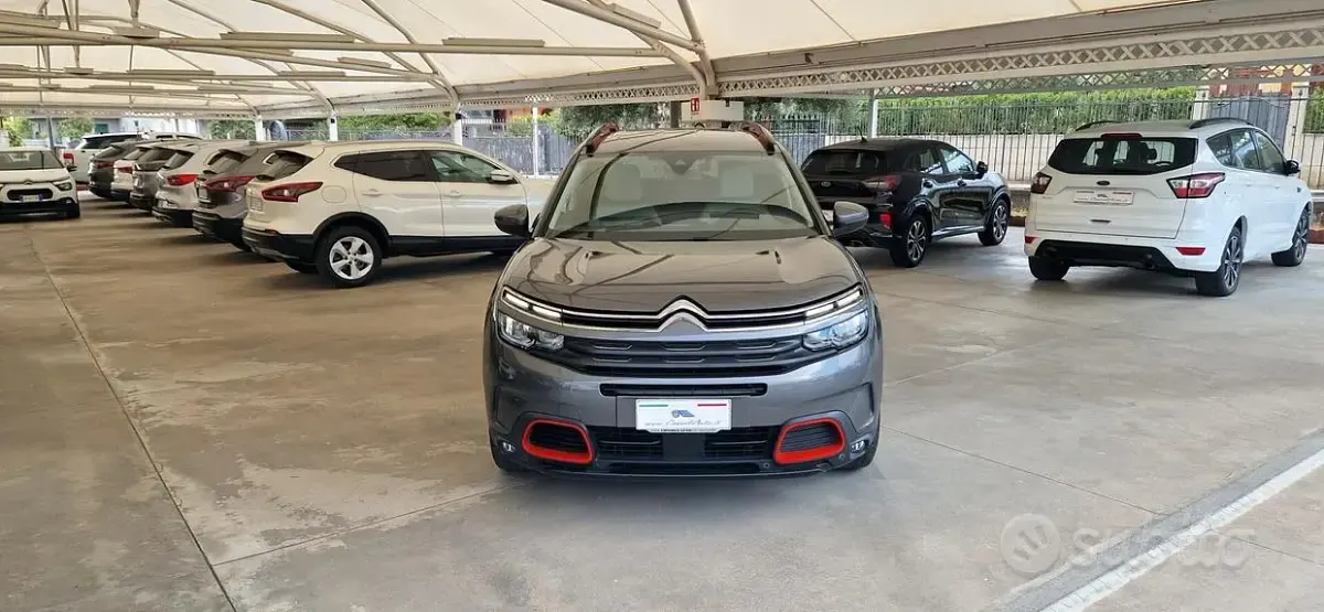 Usata Citroën C5 Shine 131 CV (96 kW) 2019 Grigio Monovolume