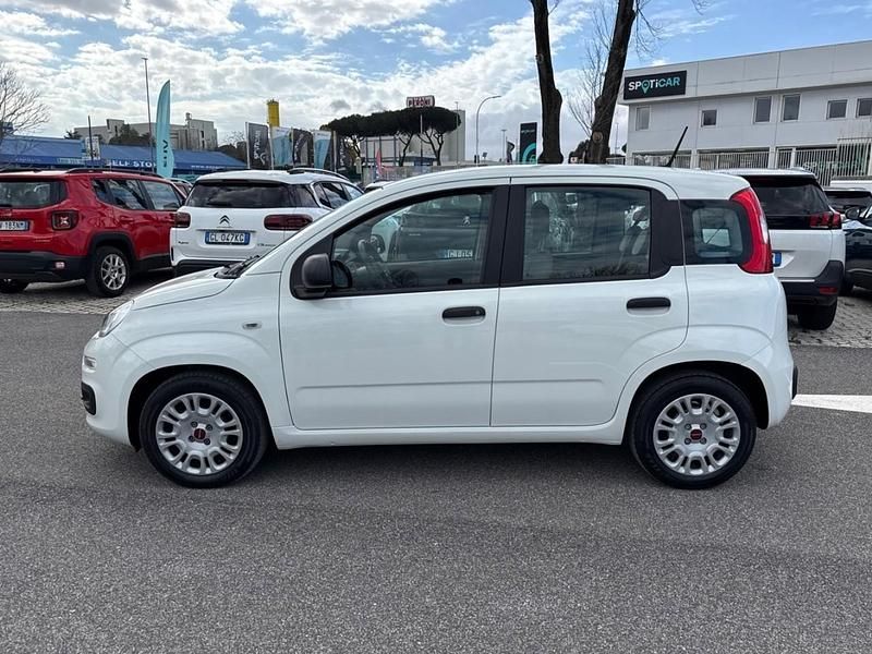 Usata Fiat Panda S 70 CV (51 kW) 2021 Bianco Utilitaria