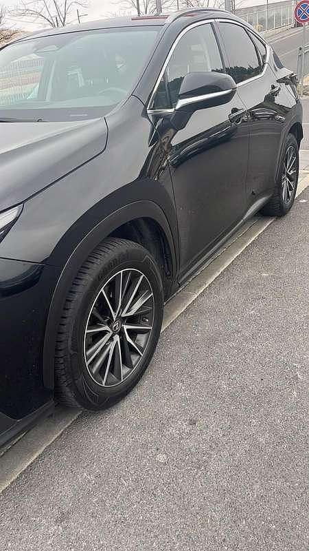 Usata Lexus NX350h 190 CV (139 kW) 2023 SUV
