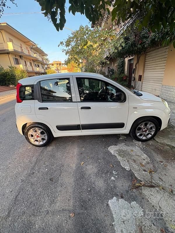 Usata Fiat Panda 2016 Bianco Utilitaria