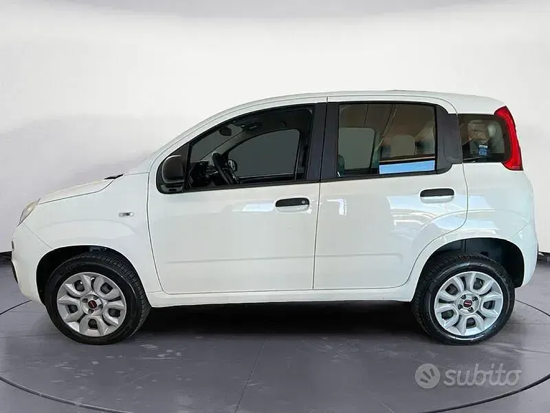 Usata Fiat Panda Easy 80 CV (58 kW) 2020 Bianco Utilitaria