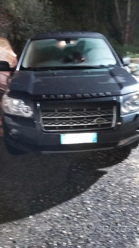 Usata Land Rover Freelander 2 160 CV (117 kW) 2009 Marrone SUV