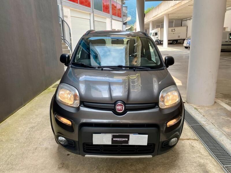 Usata Fiat Panda 4x4 S 85 CV (62 kW) 2018 Grigio Utilitaria