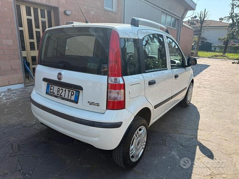 Usata Fiat Panda 77 CV (56 kW) 2012 Bianco Utilitaria