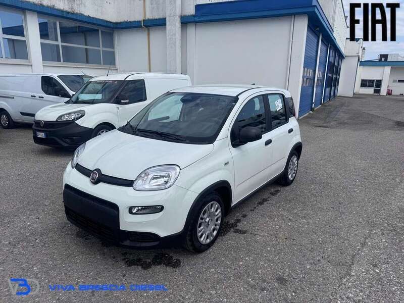 Usata Fiat Panda S 69 CV (50 kW) 2024 Bianco gelato Utilitaria