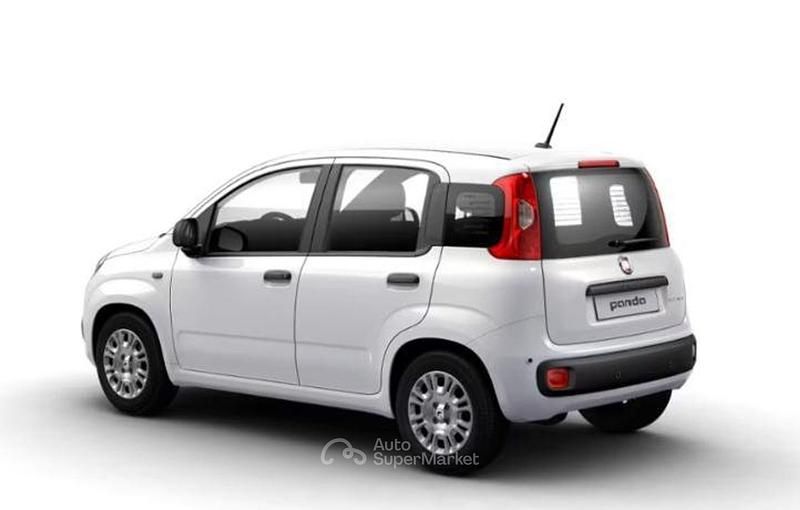 Nuova Fiat Panda Icon 69 CV (50 kW) 2025 Bianco Berlina