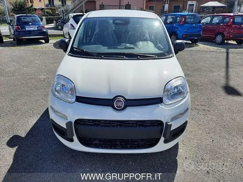 Nouvelle Fiat Panda Icon 65 ch (47 kW) 2026 Blanc Citadine