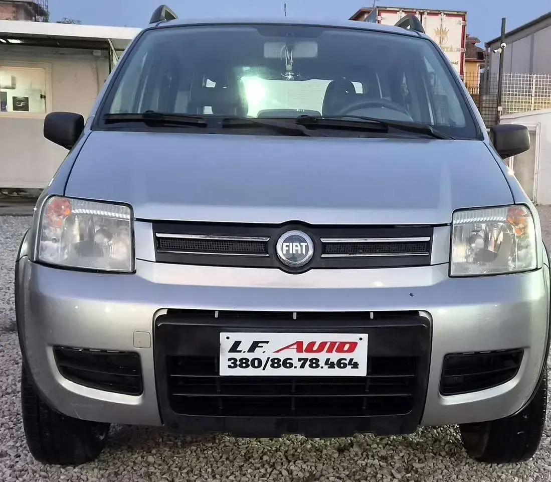 Usata Fiat Panda 4x4 Emotion 69 CV (50 kW) 2006 Argento Utilitaria