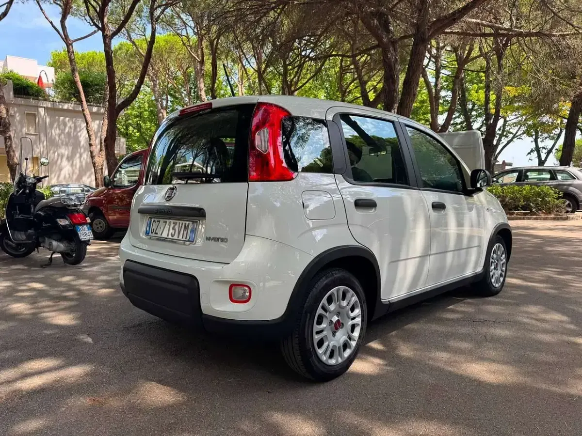 Usata Fiat Panda Launch Edition 69 CV (50 kW) 2023 Bianco Utilitaria