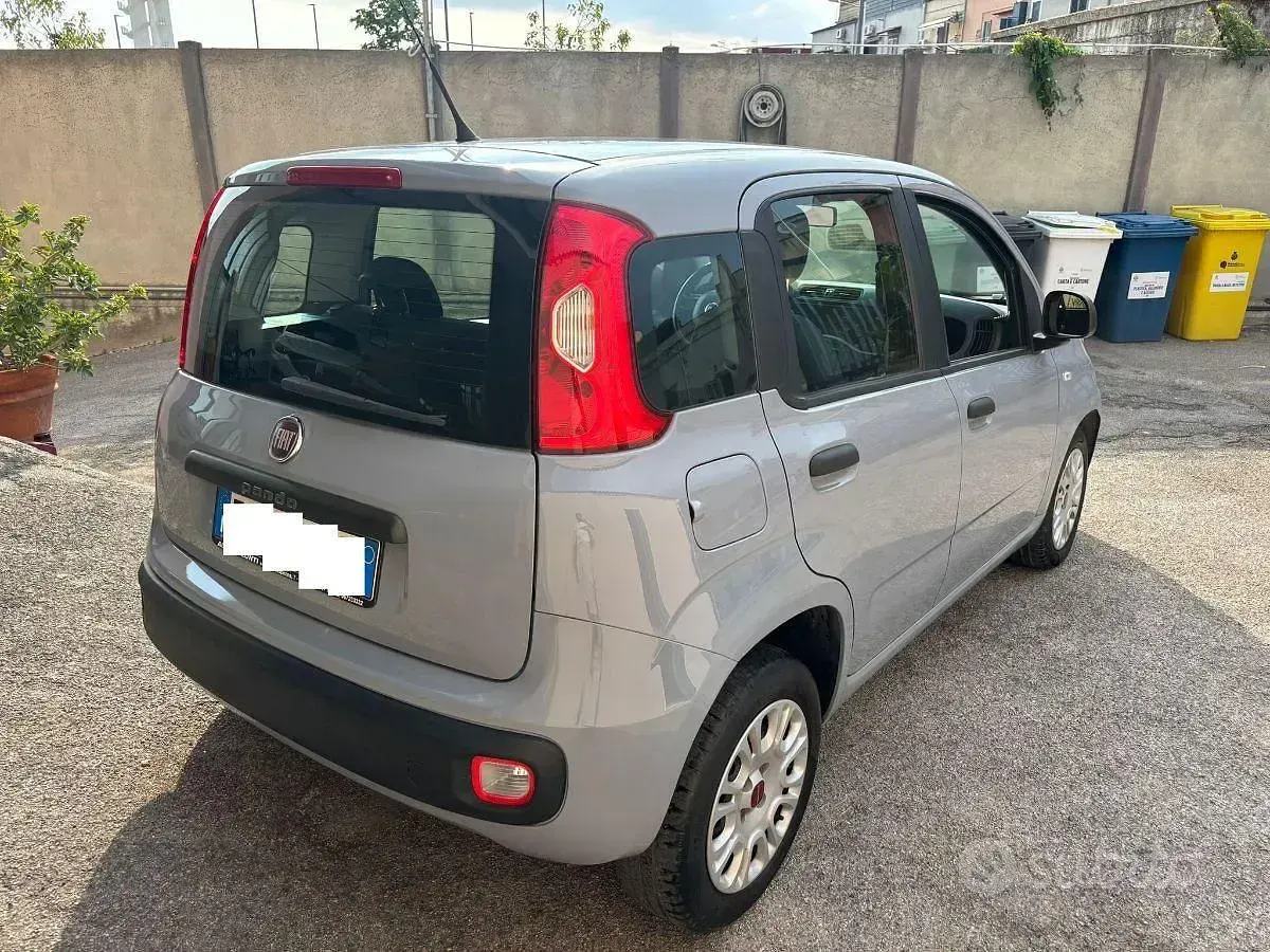 Usata Fiat Panda Easy 69 CV (50 kW) 2019 Grigio Utilitaria