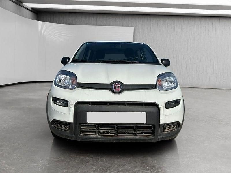Usata Fiat Panda S 70 CV (51 kW) 2024 Bianco Utilitaria