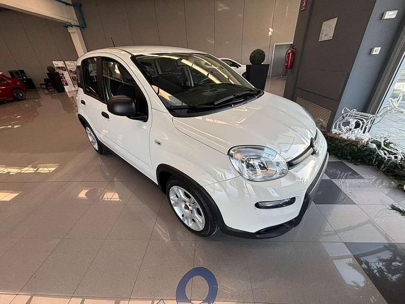 Usata Fiat Panda Cross Cross 69 CV (50 kW) 2024 Bianco Utilitaria