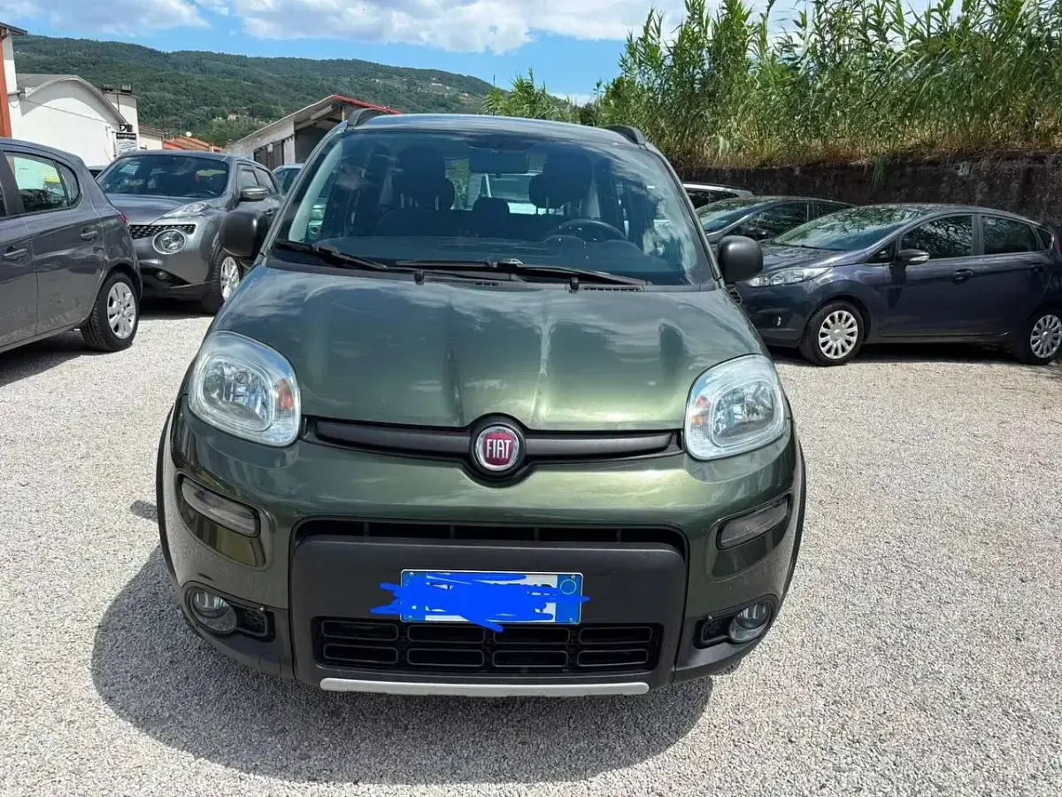 Usata Fiat Panda 4x4 S 95 CV (69 kW) 2018 Verde Utilitaria
