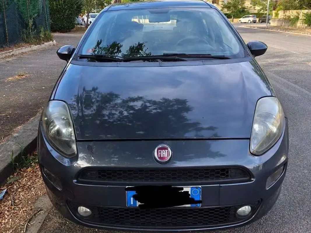 Usata Fiat Punto Lounge 69 CV (50 kW) 2015 Grigio Utilitaria