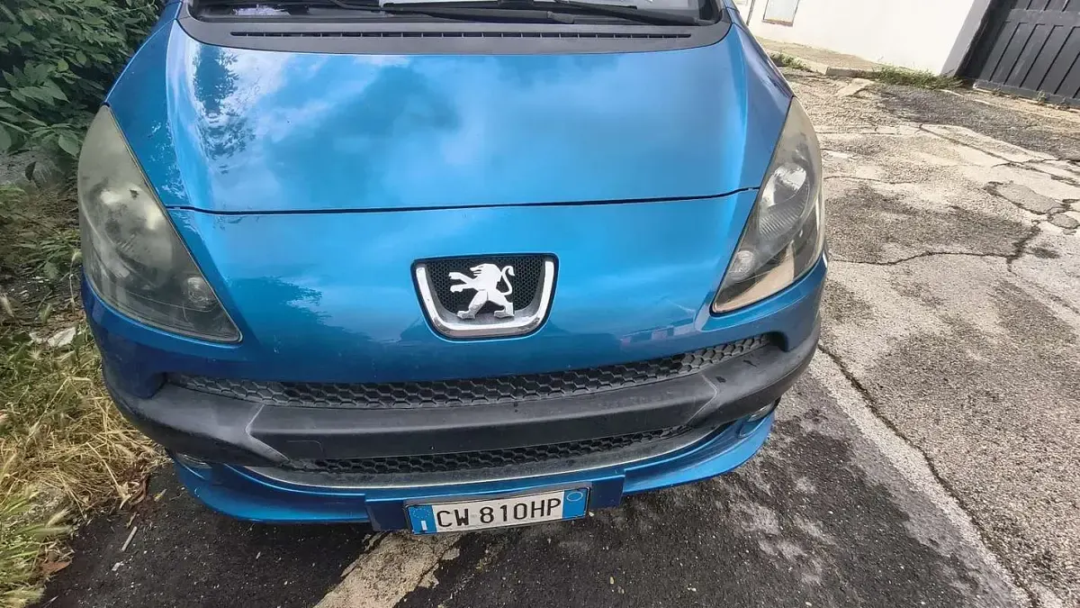 Usata Peugeot 1007 109 CV (80 kW) 2005 Monovolume