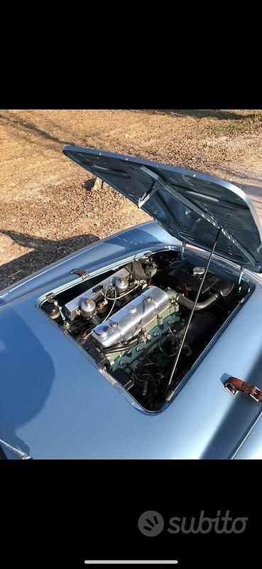 Usata Austin Healey 100 1950 Grigio Cabrio