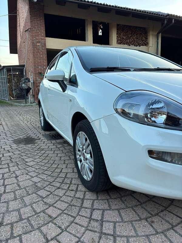 Usata Fiat Punto Evo Emotion 77 CV (56 kW) 2015 Utilitaria