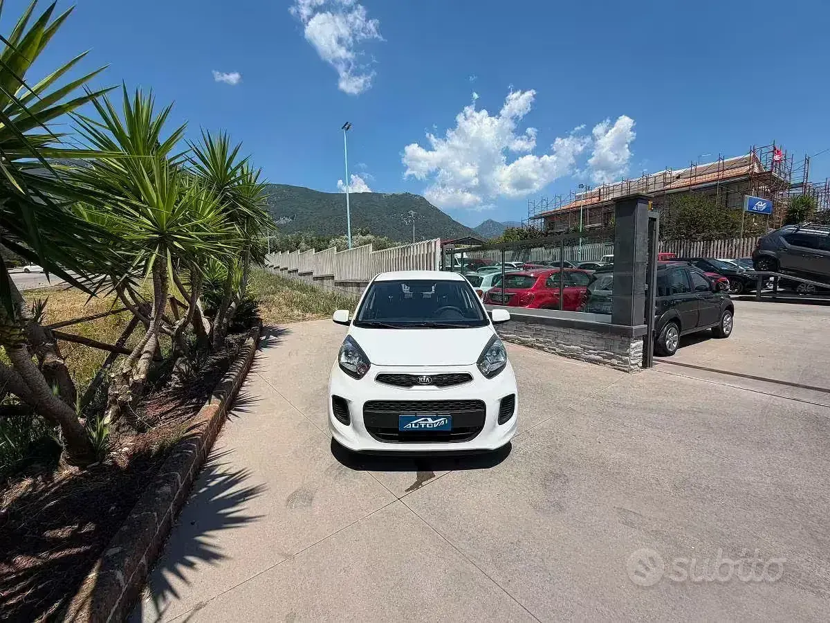 Usata Kia Picanto Active 67 CV (49 kW) 2016 Utilitaria