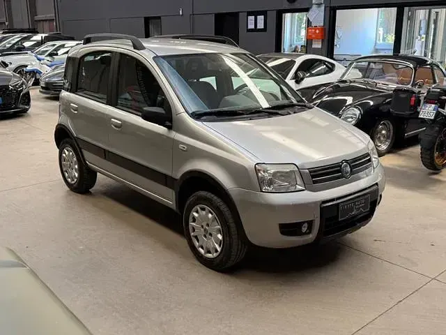 Usata Fiat Panda 4x4 Climbing 60 CV (44 kW) 2006 Argento metallizzato Utilitaria