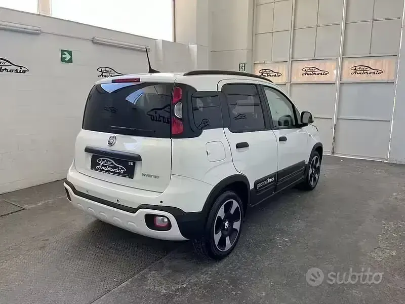 Usata Fiat Panda Cross Cross 69 CV (50 kW) 2025 Bianco Utilitaria