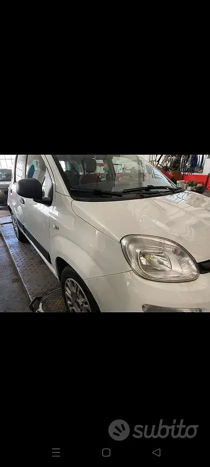 Usata Fiat Panda 75 CV (55 kW) 2014 Bianco Utilitaria