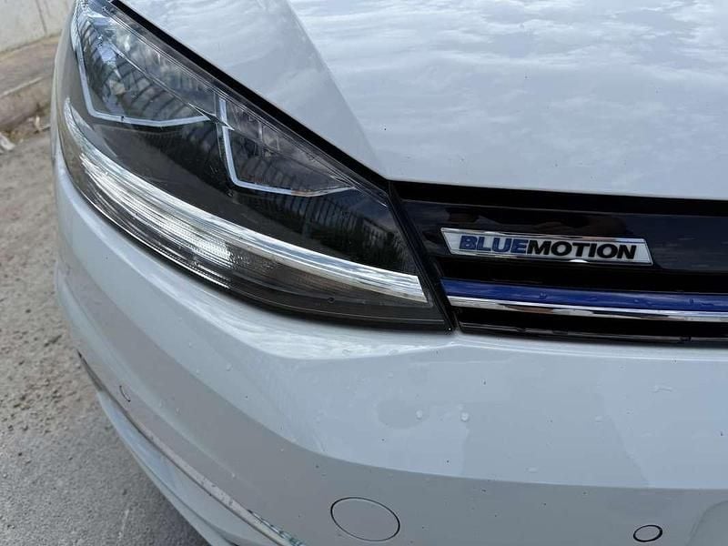 Usata VW Golf VIII Business 131 CV (96 kW) 2020 Bianco Berlina