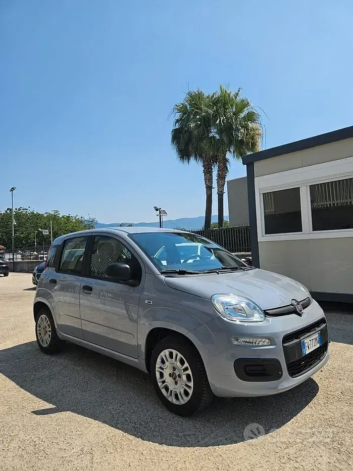 Usata Fiat Panda Easy 69 CV (50 kW) 2019 Grigio Utilitaria