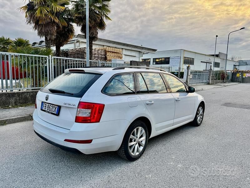 Usata Skoda Octavia Executive 110 CV (80 kW) 2016 Bianco Station wagon