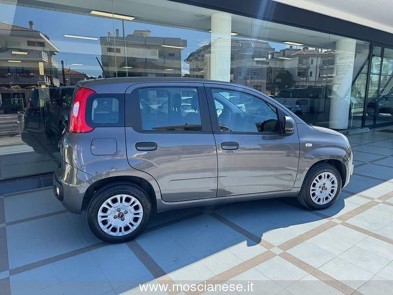 Usata Fiat Panda Easy 69 CV (50 kW) 2020 Grigio Utilitaria
