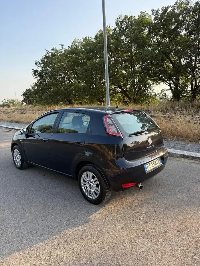 Usata Fiat Punto Street 77 CV (56 kW) 2014 Blu Utilitaria