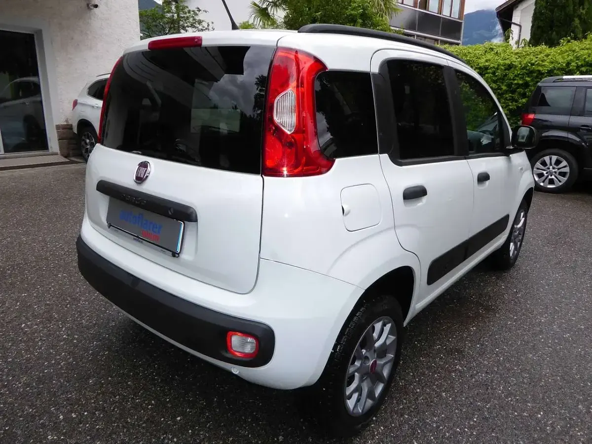 Usata Fiat Panda 4x4 80 CV (58 kW) 2017 Bianco Utilitaria