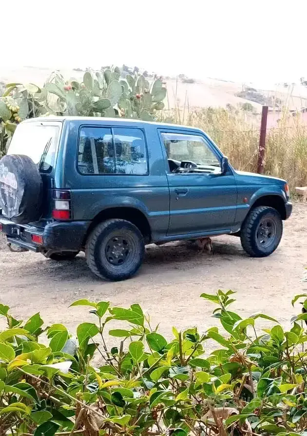 Usata Mitsubishi Pajero 100 CV (73 kW) 1995 Verde SUV