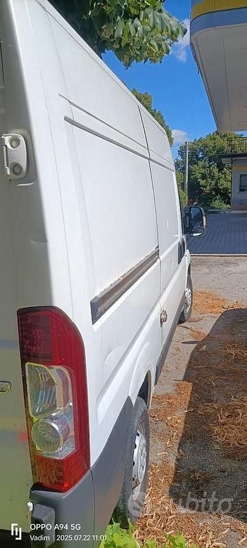 Usata Fiat Ducato 110 CV (80 kW) 2014 Bianco Furgone