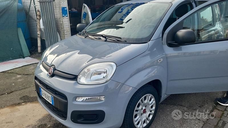 Usata Fiat Panda Easy 69 CV (50 kW) 2021 Grigio Berlina