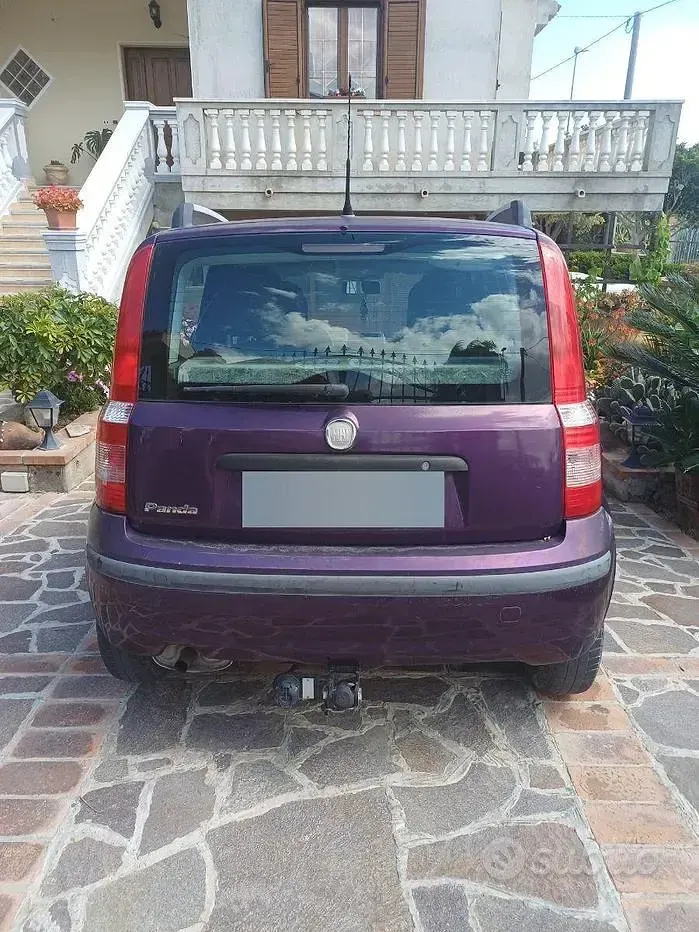Usata Fiat Panda Dynamic 69 CV (50 kW) 2011 Viola Utilitaria