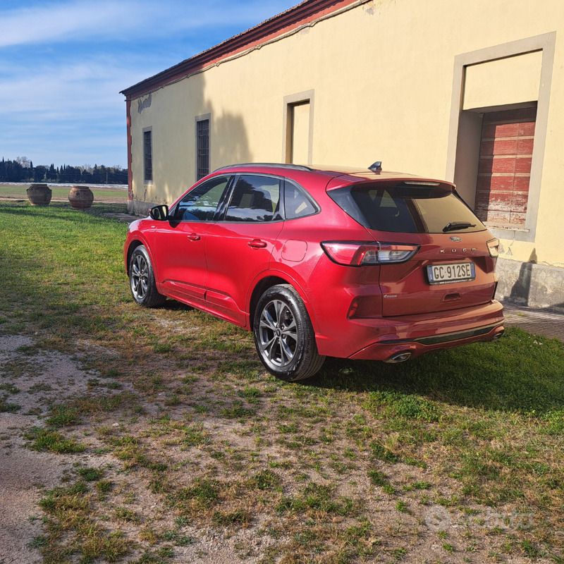 Usata Ford Kuga ST-Line 120 CV (88 kW) 2020 Rosso SUV