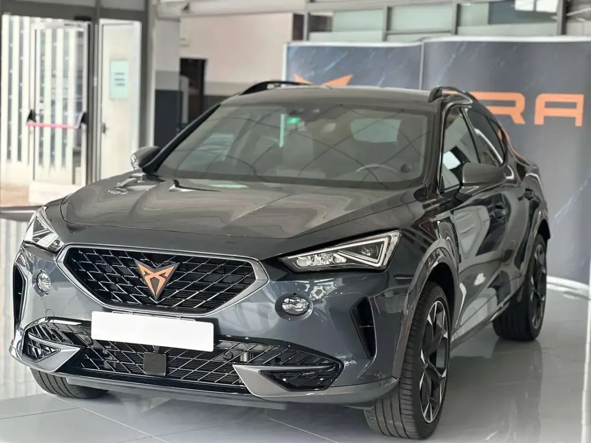 Usata Cupra Formentor 150 CV (110 kW) 2023 Argento SUV