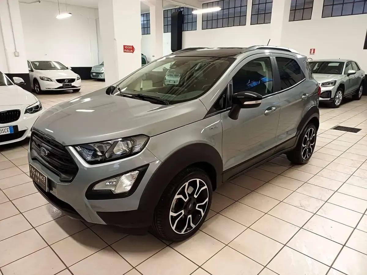 Usata Ford Ecosport Active 125 CV (91 kW) 2022 Grigio SUV