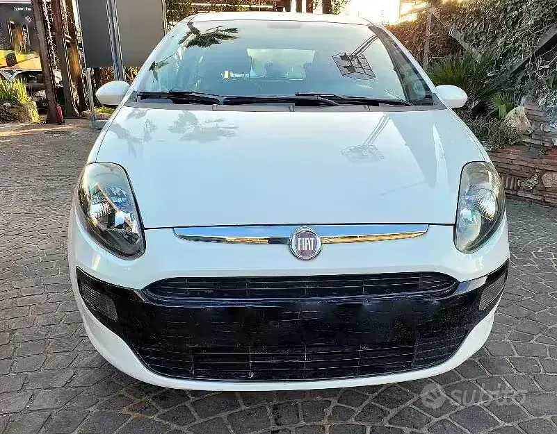 Usata Fiat Punto Evo Dynamic 77 CV (56 kW) 2010 Bianco Utilitaria