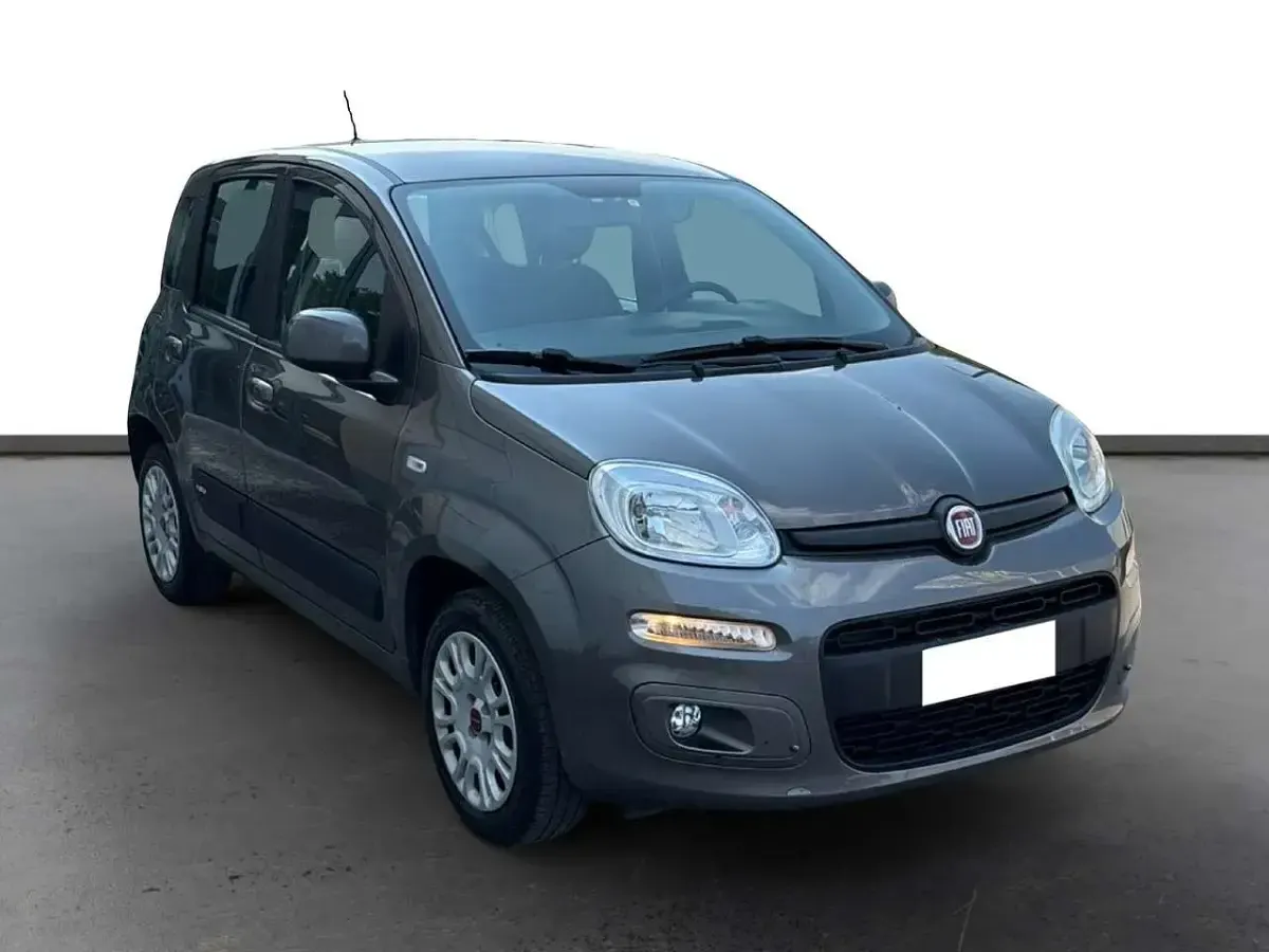 Usata Fiat Panda Easy 69 CV (50 kW) 2021 Grigio Utilitaria